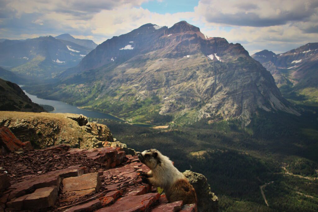 Crater Lake NP, Mt Hood, jezero Blanca a Glacier NP 116