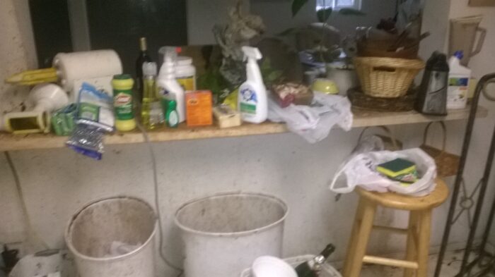 Crater Lake NP, Mt Hood, jezero Blanca a Glacier NP 123