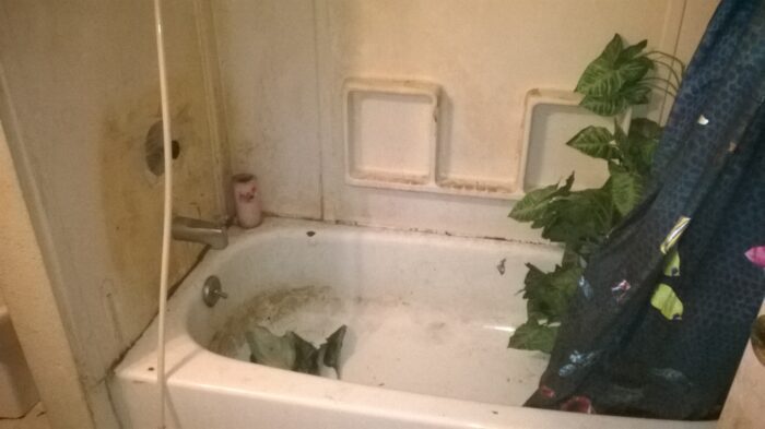 Crater Lake NP, Mt Hood, jezero Blanca a Glacier NP 122