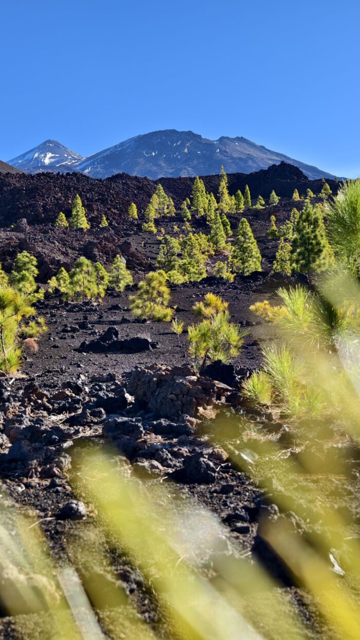 30 tipů, co vidět a dělat na Tenerife 26