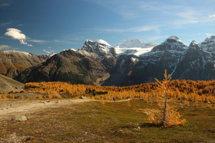 Banff Jasper 12