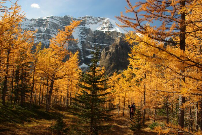 Banff Jasper 7