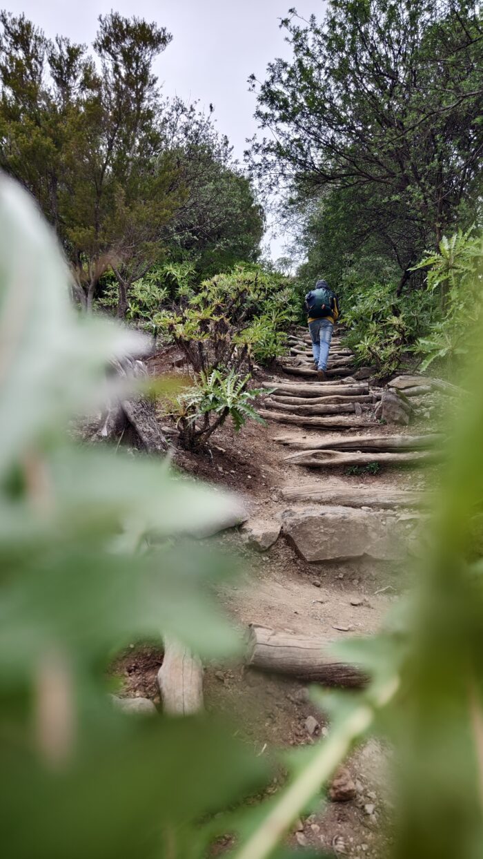 La Gomera: 25 tipů, co vidět a dělat 4