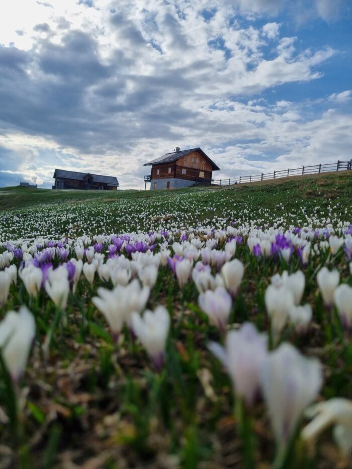 Náhorní plošina Salto (Salten) nad Bolzanem