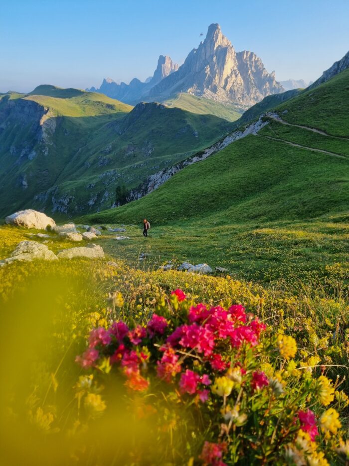 Dolomity na podzim: 15 tipů na zlaté modříny bez davů 14 Turistka na hřebeni pod vrcholem Ra Gusela u Passo Giau mezi kvetoucí protěží